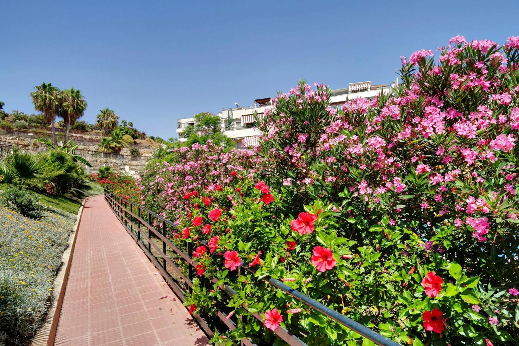Del Parque Flats - Golf & Beach Terrace مالقة المظهر الخارجي الصورة